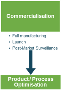 commercialisation phase infographic